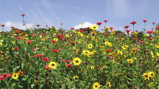 秋分の日の風景