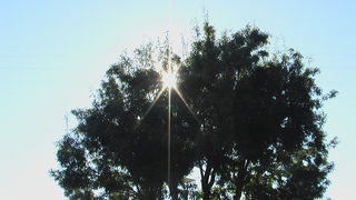 冬至の日の太陽