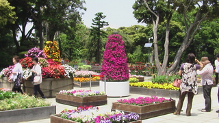 庭園