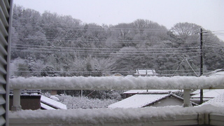 元旦の冬景色